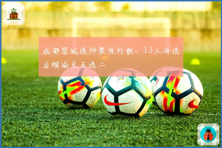 成都蓉城选帅聚焦外教，13人海选后缩减至五选二